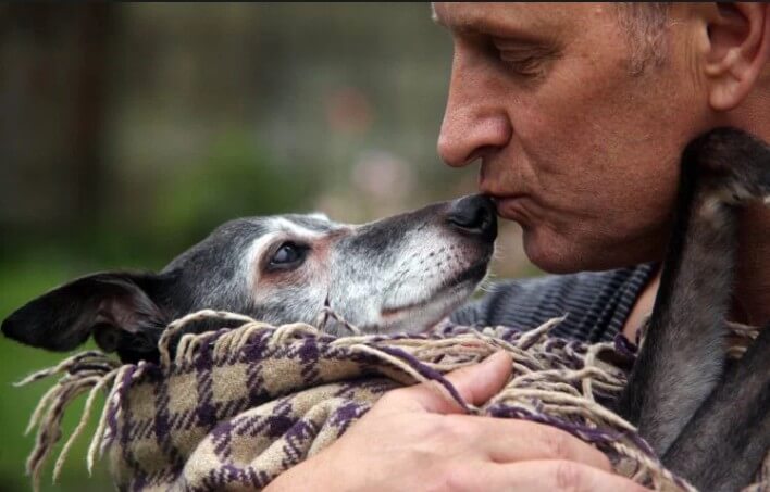 Parhaan ystävän jäähyväiset