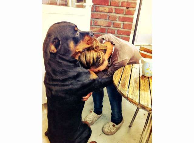 Lemmikin kuolema on kuin menettäisi perheenjäsenen