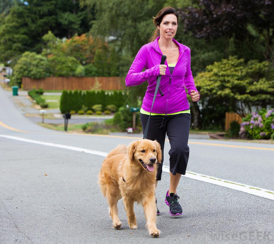 Lemmikin omistaminen nuorentaa