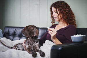 Miksi koiralle ei saa antaa popcornia?