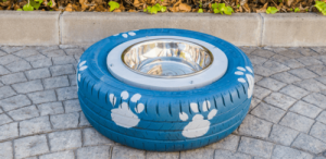 Kotitekoinen vesiastia koiralle