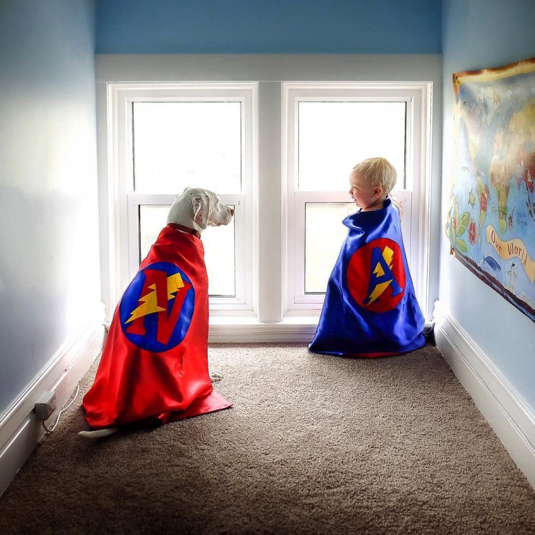 Lapsi auttaa koiraa pääsemään yli pahoinpitelystä