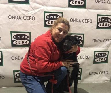 Tango, pahoinpidellystä eläimestä koiraterapeutiksi