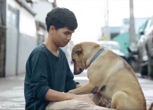 Nuori thaimaalainen tarjoaa kulkukoirille niiden ensimmäisiä halauksia