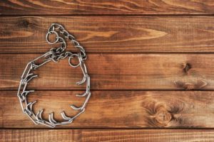 Koirien haitalliset kaulapannat