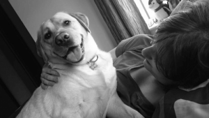 Koira pelasti epilepsiasta kärsivän omistajansa hengen