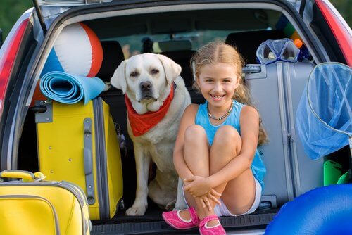 Kaikki mitä tarvitsee tietää koiran adoptoimisesta