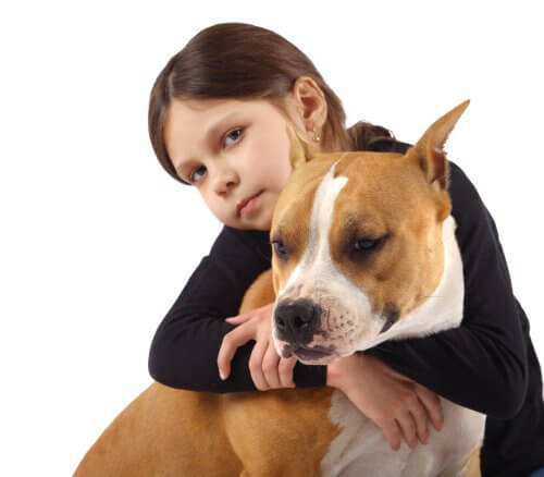Pitbull ja tyttö
