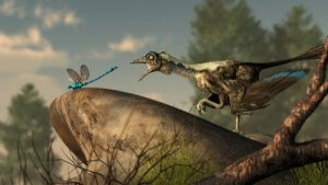 Lintujen alkuperä - mitä siitä tiedetään?