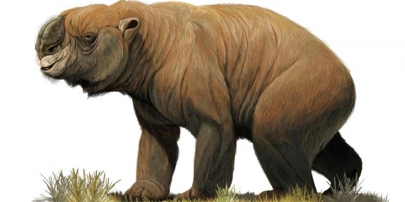 Sukupuuttoon kuolleet Australian jättiläiseläimet