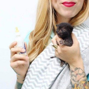 Kitten Lady on omistanut elämänsä kissojen pelastamiselle