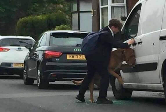Teinipoika pelasti koiran kuolemalta