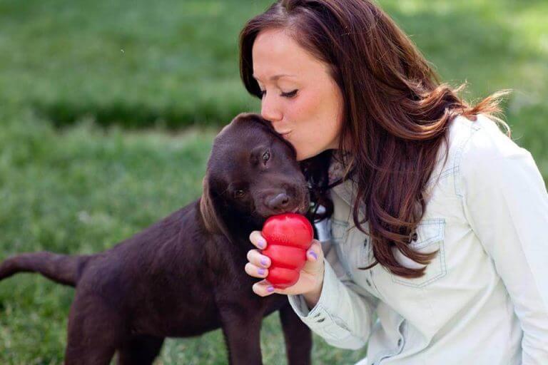 Koiran älykkyyden kehittäminen