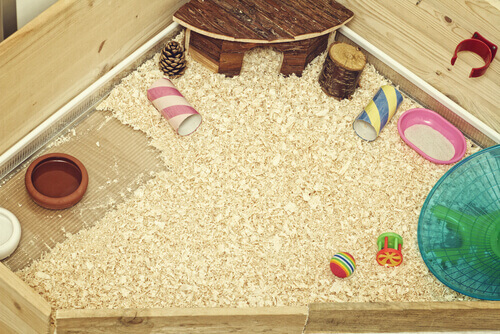 Millainen on hyvä marsun häkki?