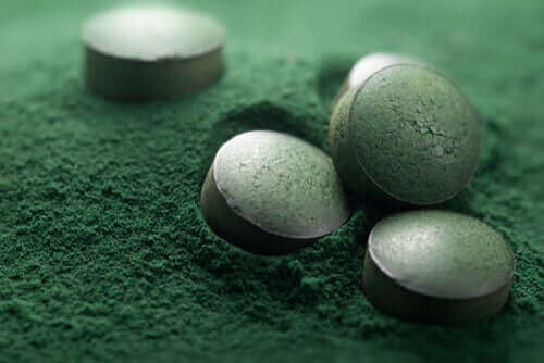 Kannattaako koiralle antaa spirulinaa?