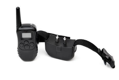 Kuristuspanta on vaaraksi koiran terveydelle