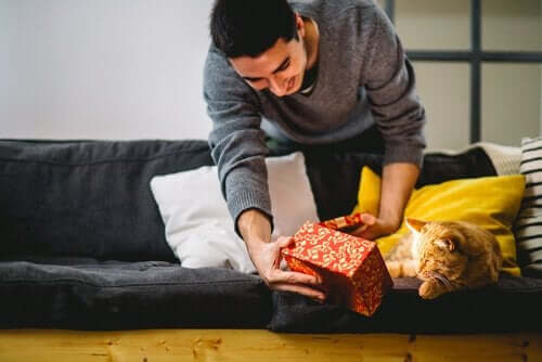 Voiko kissan opettaa antamaan tassua?