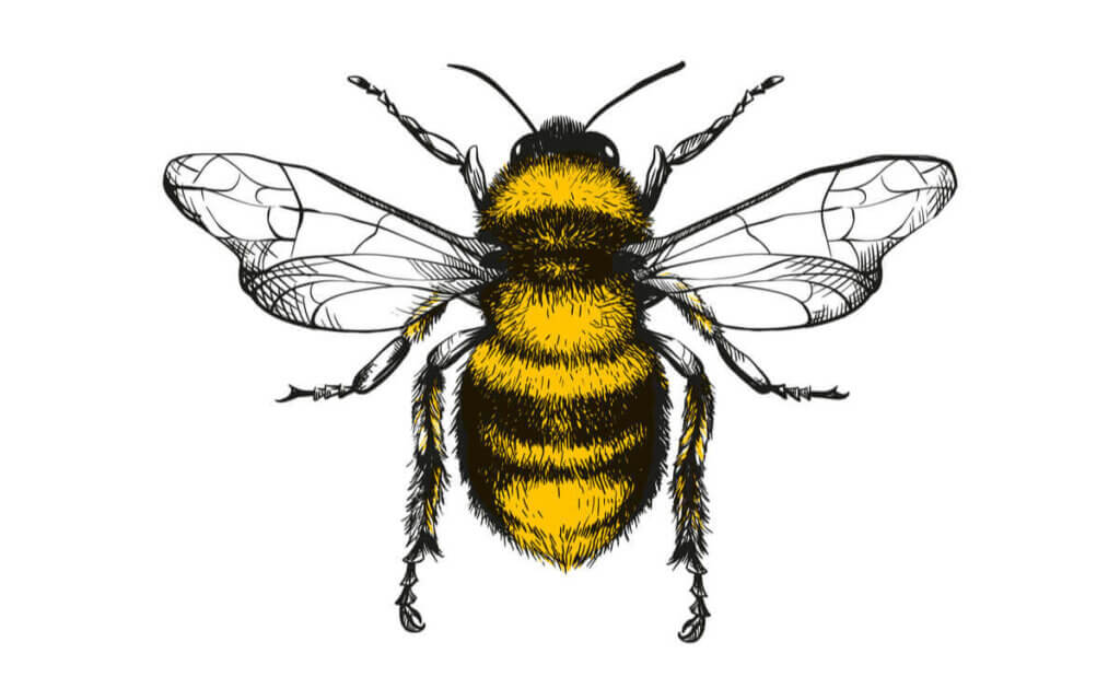Mehiläisten tanssi