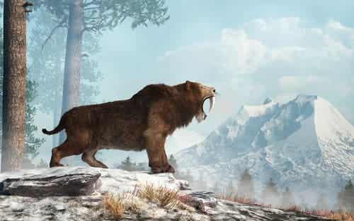 Sapelihammaskissat olivat esihistoriallisia petoeläimiä