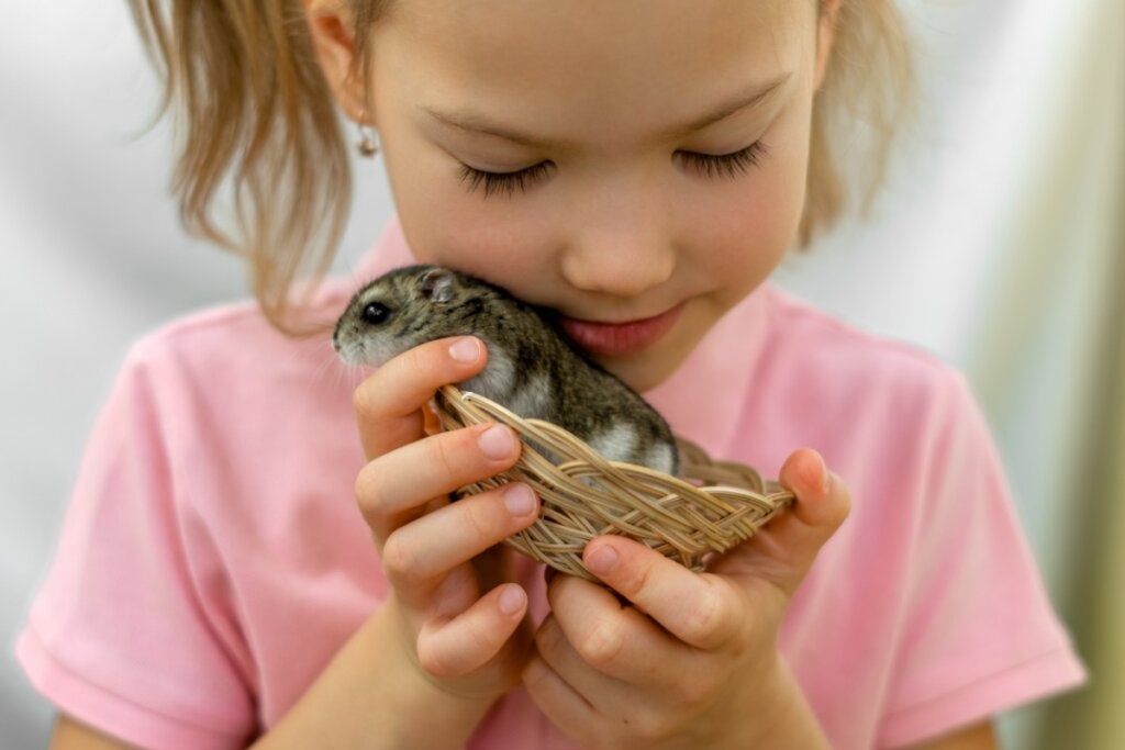 Mistä tiedät, onko hamsterisi onnellinen?