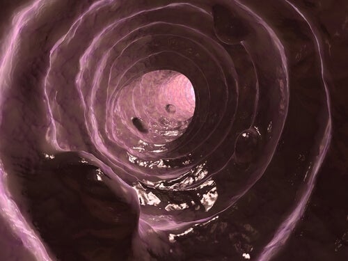 Lima koiran ulosteessa: syyt ja hoito