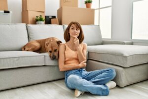 8 koirien elettä, jotka me ihmiset usein tulkitsemme väärin