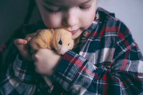 Miten hamsterit kommunikoivat ihmisten kanssa
