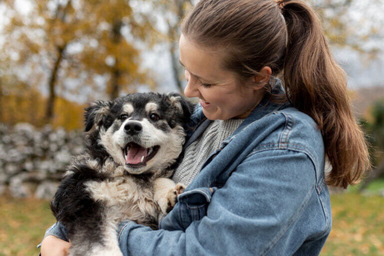Pennun adoptointi: Kaikki mitä sinun tarvitsee tietää ennen kuin teet päätöksen